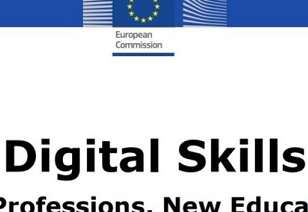 Rapport Digital Skills